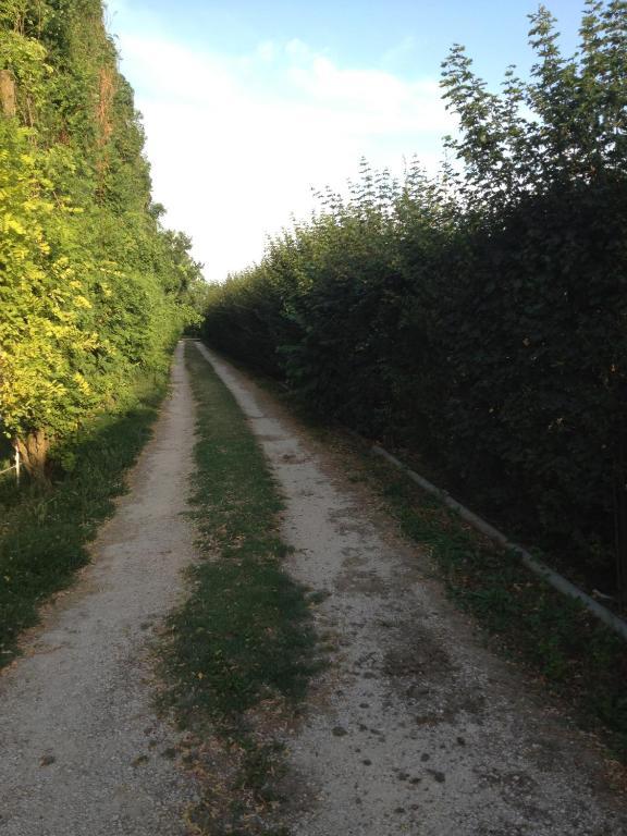 Societa Agricola Le More Agriturismo La Dondina Budrio  Exterior photo